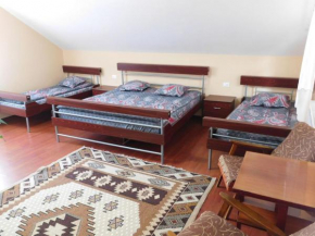Hotels in Cavnic